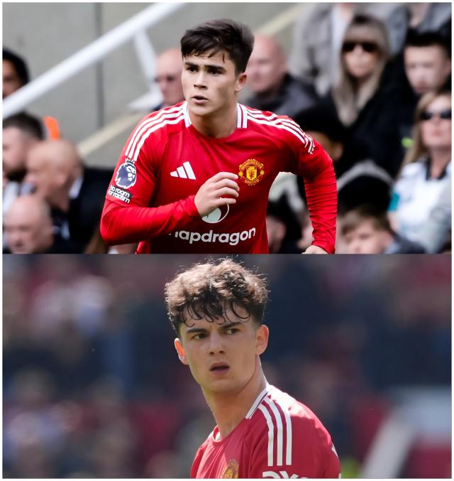 1745166162933069969.png WPS拼图0.png